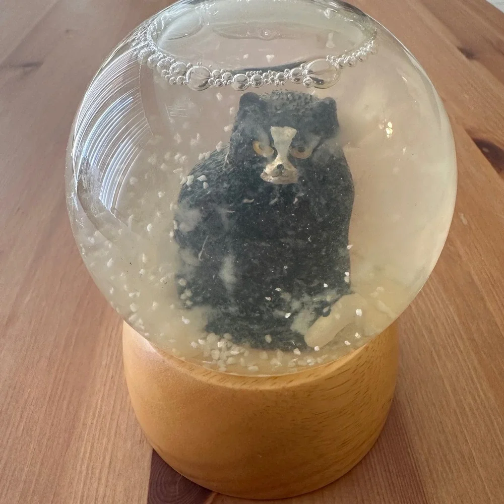 Pottery Barn Tuxedo Cat Snow Globe Wood Base Black White Grumpy Kitty Decor